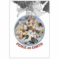 Pipsqueak Productions Peace On Earth Mix Dog with Cat Christmas Boxed Cards -10PK PI392972